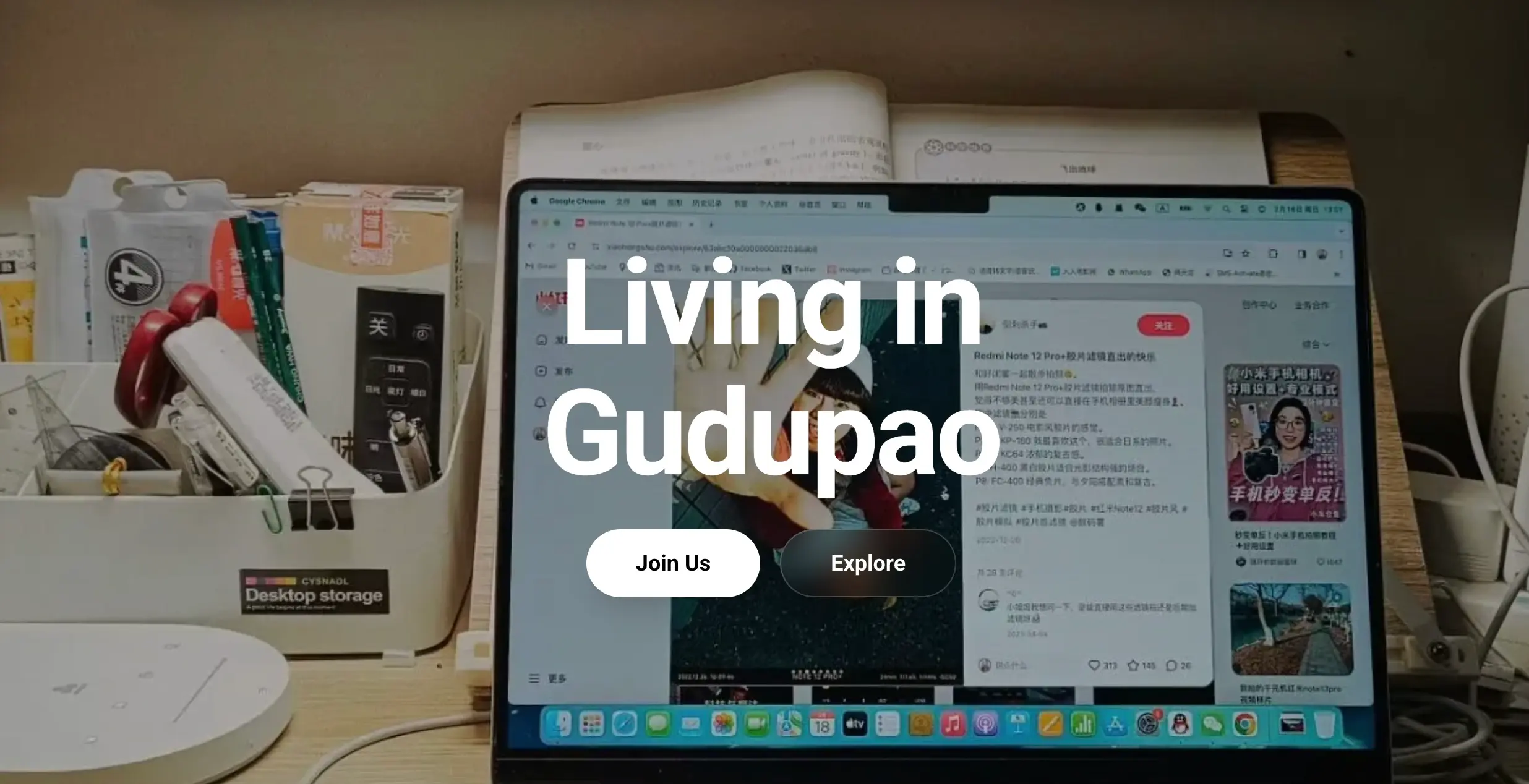 Gudupao Website